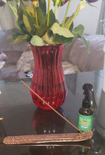 Load image into Gallery viewer, Sonia's Bug Spray Bug Repelling Set
